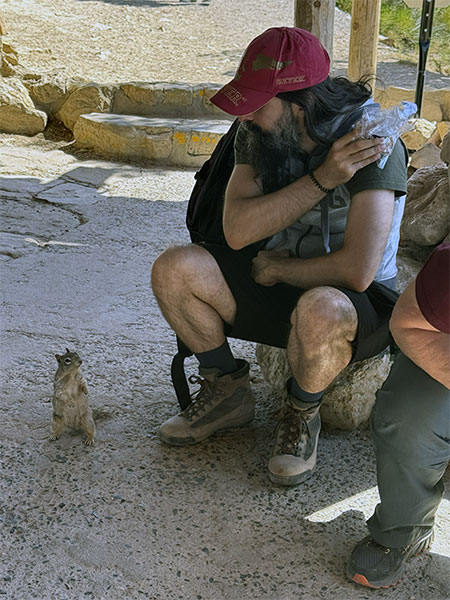 This image for Image Layouts addon